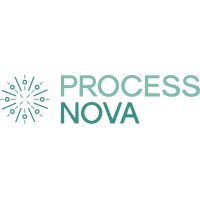 Process Nova logo - Similar company to Ebon Holdings Group Co. Ltd.