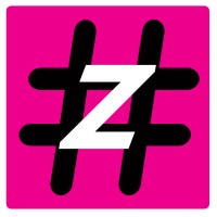 Zerandesfry logo - Similar company to Zerando