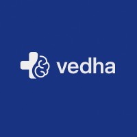 Vedha Solutions logo - Similar company to Veda Solutions