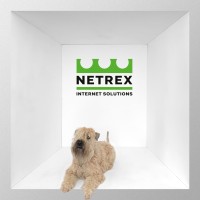 Netrex Internet Solutions logo - Similar company to Refresh Media B.V.