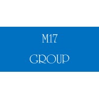 M17 GROUP logo - Similar company to Op Finance
