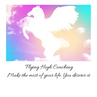 Flying High Coaching Aneta Sanders logo - Similar company to Emerge Development Consultancy Ltd