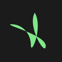 ClueLess logo - Similar company to Seaboard Technologies
