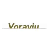 Voraviu logo - Similar company to Fundació De L'Esperança