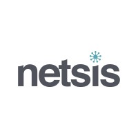 Netsis Technology (S) Pte Ltd logo - Similar company to Sktech