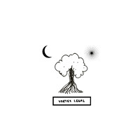 Vortex legal logo - Similar company to Lexara