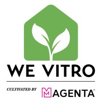 We Vitro logo - Similar company to Bambu Nusa Verde