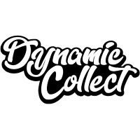 Dynamic Collect logo - Similar company to Equisettle