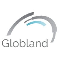 Globland - DX Consulting Services logo - Similar company to Infinite Software