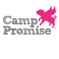 Camp Promise logo - Similar company to Camp Chinqueka