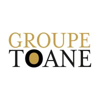 Groupe Toane logo - Similar company to Dokaa