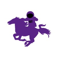 Western Engineering Satellite Team logo - Similar company to Coding 4 Community