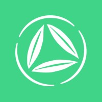 Bambú - Mindfulness And Meditation