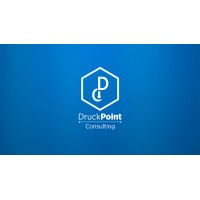 DruckPoint Consulting logo - Similar company to Elac