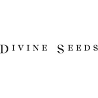 DIVINE SEEDS logo - Similar company to Tisoft | Building Design Software