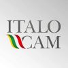 Câmara Ítalo-Brasileira de Comércio e Indústria do Paraná (Italocam) logo - Similar company to Áurea Faap