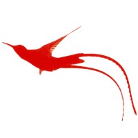 Streamertail Systems logo - Similar company to Hi5 Technologies