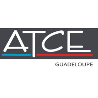 ATCE logo - Similar company to Aec Services