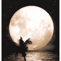 Demian Slade: Owner & Creative Director @ Odyssean Records: A Music And Film Production Studio