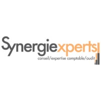 SYNERGIE EXPERTS logo - Similar company to Startcharika.Com