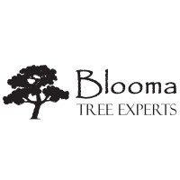 Blooma Tree Experts logo - Similar company to Focal Point Security, Llc