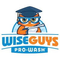 WiseGuys Pro-Wash logo - Similar company to Pro Wash Solutions