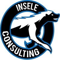 Insele Consulting logo - Similar company to Beake Afrika