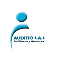 Auditio - Auditores Y Asesores Sas