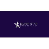 Silver Star Consultancy logo - Similar company to Doublecap