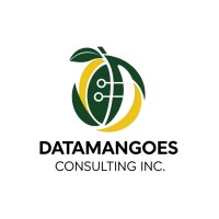 DataMangoes Consulting Inc logo - Similar company to Trinsight Logistics Platform