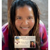 Dream Journeys, LLC logo - Similar company to Mox+Slate