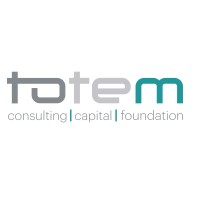 Totem Limited logo - Similar company to Remoteably