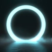 Deloitte Touche Venture Support logo - Similar company to Net-Vision