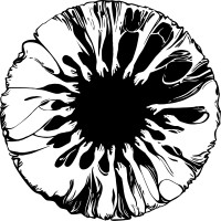 Radical Eyes logo - Similar company to Badger Productions