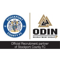 ODIN Recruitment Group Limited logo - Similar company to Puffin Solutions Ltd