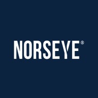 Norseye logo - Similar company to People Mode