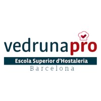 Vedruna Pro logo - Similar company to Vedrunapro Vic