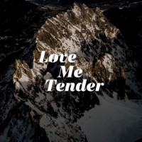 Love Me Tender Films logo - Similar company to Bridal Network
