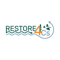 RESTORE4Cs logo - Similar company to Anaee-Eric
