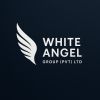 White Angel Group (Pvt) Ltd logo - Similar company to Infrasol Engineering