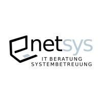 NetSysIT logo - Similar company to Netsys