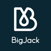 BigJack logo - Similar company to Rewatt