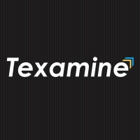 TEXAMINE logo - Similar company to Walkter Beacon Lab