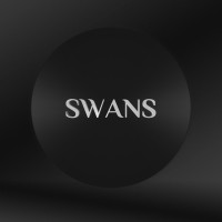 SWANS Enterprise logo - Similar company to Ayurvastram