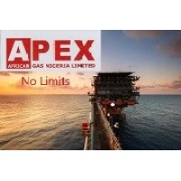 Apex African Gas Nigeria Ltd logo - Similar company to Capgas