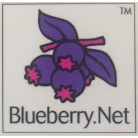 Blueberry Group logo - Similar company to Visiotech Advisors Llp