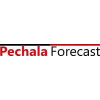 Pechala's Reports logo - Similar company to Valuengine Inc.