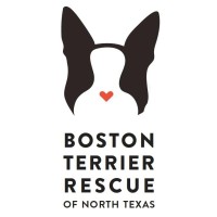 Boston Terrier Rescue of North Texas logo - Similar company to Carolina Conner Construction