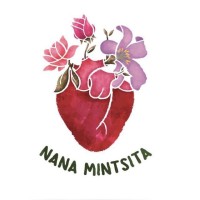 Nana Mintsita logo - Similar company to Artdidaktik