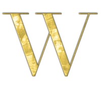 Wilcox Technologies logo - Similar company to Smart Vista It Solutions Pvt. Ltd.